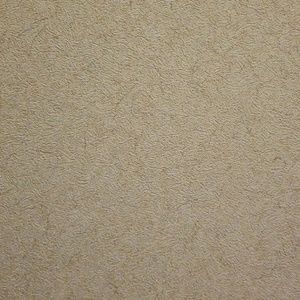 Meet your Posher, Shelbey